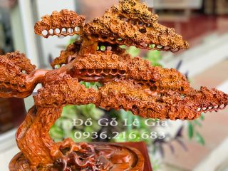 Chậu Cây Bonsai Chậu Cây Bonsai 4