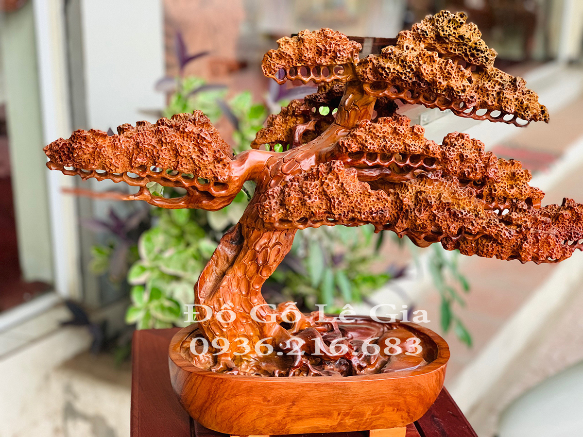 Chậu Cây Bonsai Chậu Cây Bonsai 7
