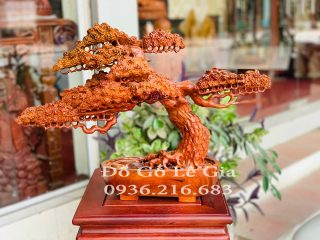 Chậu Cây Bonsai Chậu Cây Bonsai 5